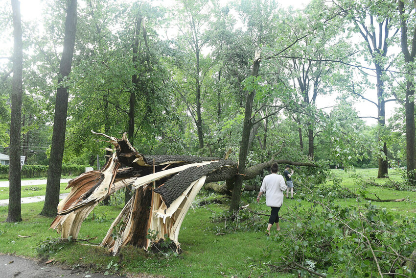 Laure Hibberd and her son Johnny walk past a downed tree at Rotary Park after a tornado swept through the area in Livonia, Mich., Wednesday, June 5, 2024. (Robin Buckson/Detroit News via AP)
