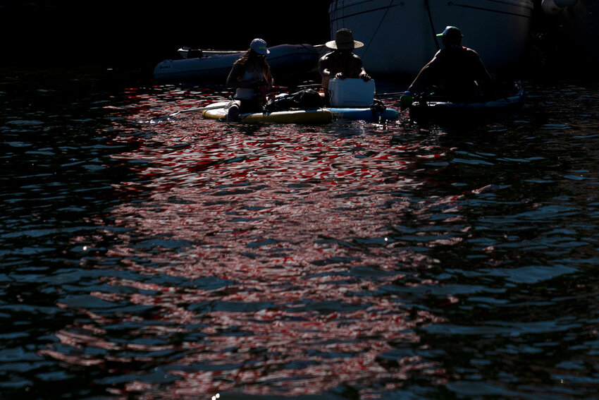 With an American flag reflected in the Willamette River, people sit on their paddle boards and listen to the music at the Waterfront Blues Festival on Friday, July 5, 2024, in Portland, Ore. A slow-moving and potentially record-setting heat wave is spreading across the Western U.S., sending many residents in search of a cool haven from the dangerously high temperatures. (AP Photo/Jenny Kane)