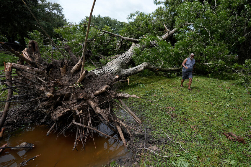 Hook Jefferson assesses damages after a tree fell on his neighbor's home when Hurricane Beryl hit the Texas coast, Monday, July 8, 2024, in Bay City, Texas. (AP Photo/Eric Gay)