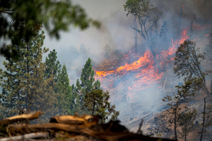 The Park Fire burns along Highway 32 near Forest Ranch, Calif., Sunday, July 28, 2024. (AP Photo/Nic Coury)