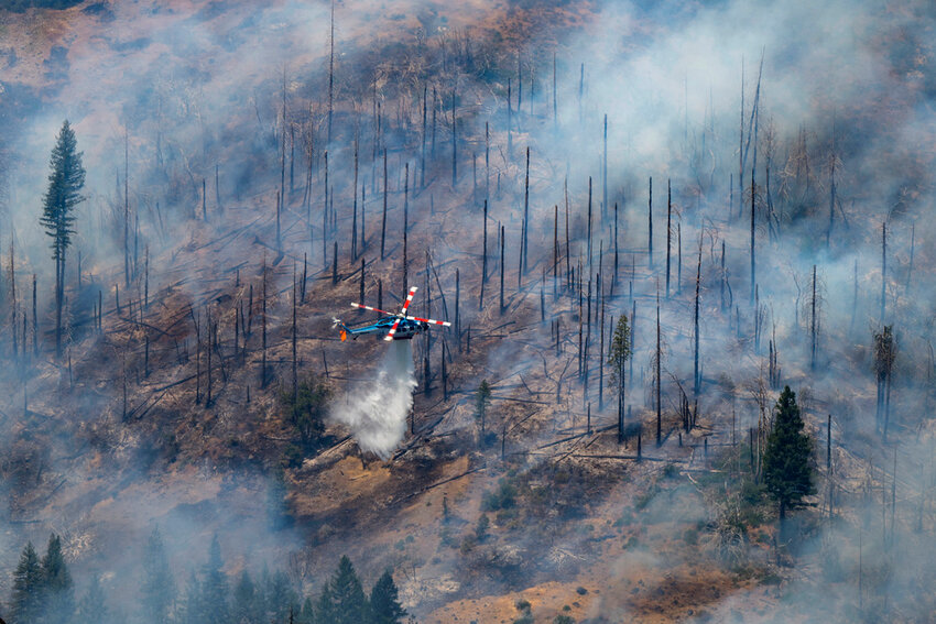 A helicopter drops water on the Park Fire near Butte Meadows, Calif., Tuesday, July 30, 2024. (AP Photo/Nic Coury)