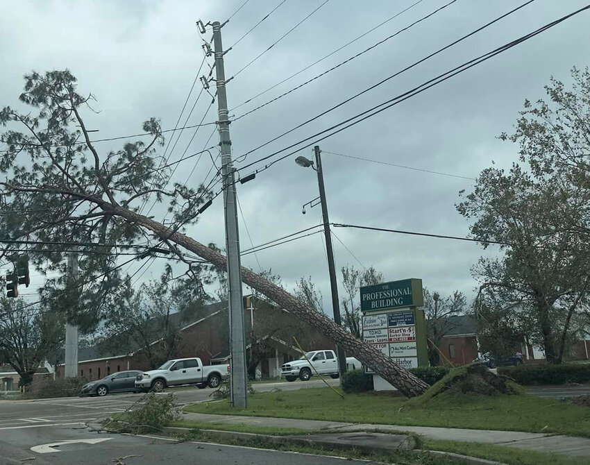 A fallen tree lies across downed lines in Lowndes County. (Photo/Lowndes County Emergency Management Agency via Facebook)