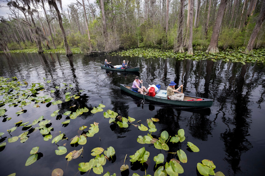 FILE - A group of visitors return to Stephen C. Foster State Park after an overnight camping trip on the Red Trail in the Okefenokee National Wildlife Refuge, April 6, 2022, in Fargo, Ga. (AP Photo/Stephen B. Morton, File)