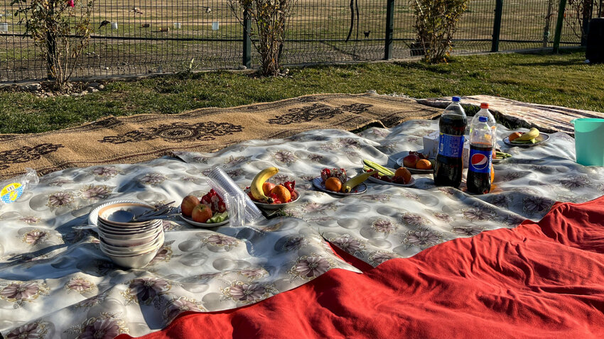 IMB missionary Journeyman Olivia Tucker helps prepare a picnic lunch at the farm where she works alongside locals. (Photo/IMB)