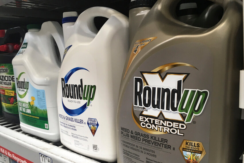 Containers of Roundup are displayed on a store shelf in San Francisco. (AP Photo/Haven Daley, File)
