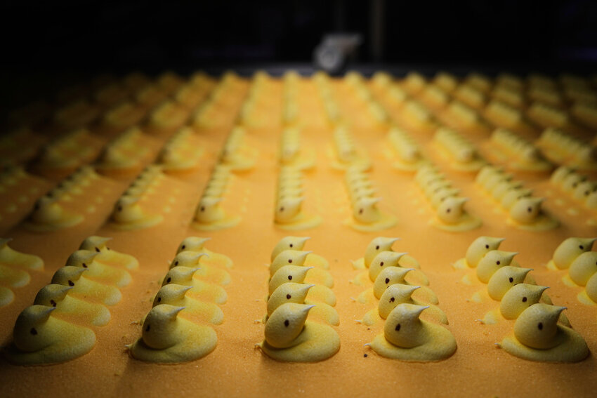 Peeps marshmallow treats move through the manufacturing process at the Just Born factory in Bethlehem, Pa., Thursday, April 10, 2025. (AP Photo/Matt Rourke)