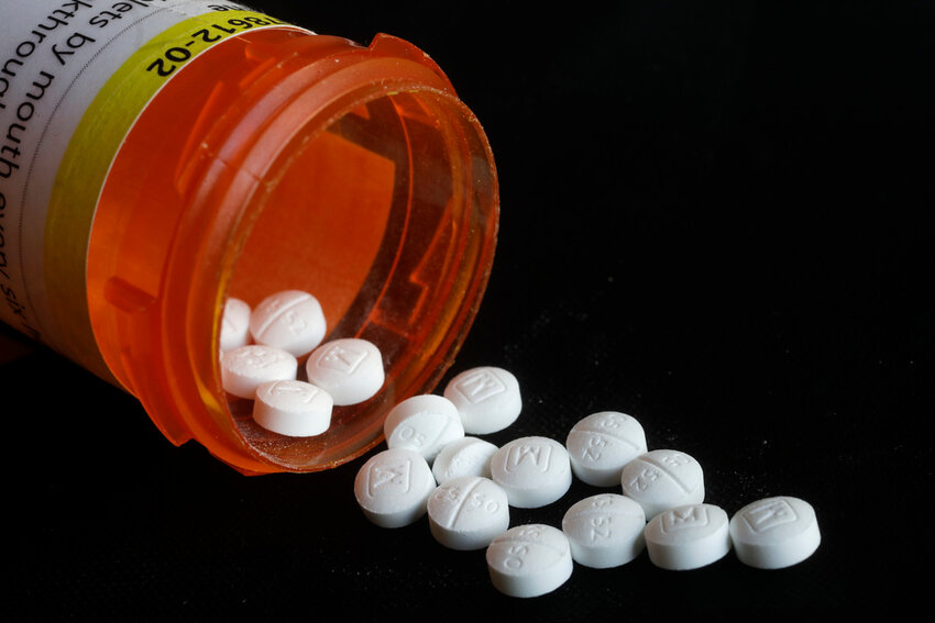 Pills spill from an Oxycodone prescription bottle.  (AP Photo/Mark Lennihan, File)