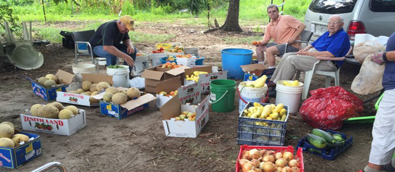 Lester Bray, in blue shirt,  and friends display some of the produce grown through plasticulture, an efficient way to provide for the food banks in Fayette County.  LESTER BRAY/Special