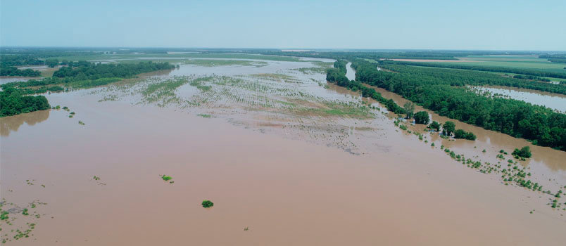 Drone footage May 31 shows the Arkansas River exceeding its banks in Jefferson County, Arkansas. Georgia Baptist Disaster Relief sent two teams in the following weeks to help with the cleanup. Two more teams will respond to flooding in the Texas city of Harlinger this month. KURT BEATY/ Flickr