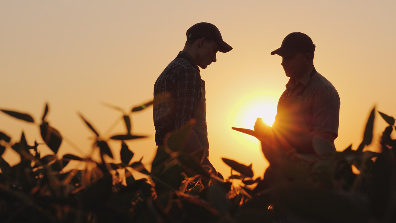 Two farmers talk on the field. Use a tablet.
