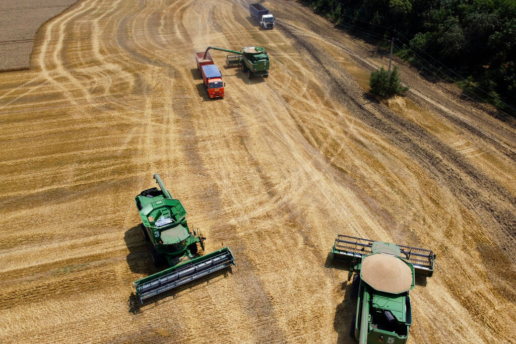 Farmers harvest with their combines in a wheat field near the village Tbilisskaya, Russia, Wednesday, July 21, 2021. Russia's Agricultural Ministry expects this year's grain harvest at 127 million metric tons. (AP Photo/Vitaly Timkiv)