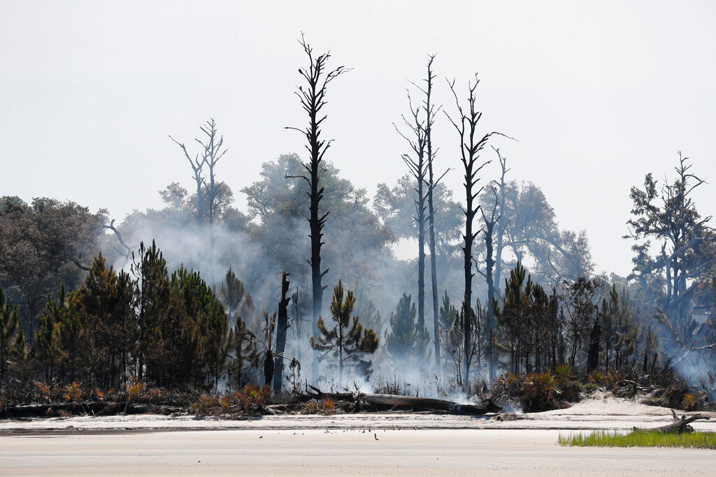 Smoke rises from the burned landscape at the north end of St. Catherine's Island on Wednesday, June 22, 2022. (Richard Burkhart/Savannah Morning News via AP)