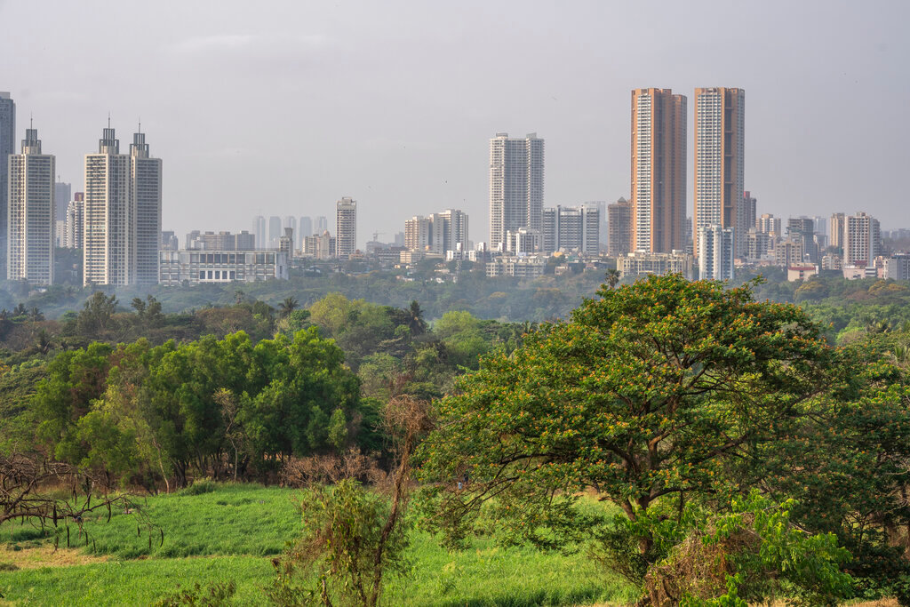 The Mumbai skyline is seen from Aarey Colony, which borders the south end of Sanjay Gandhi National Park, in Mumbai, India, Tuesday, April 5, 2022. (AP Photo/Rafiq Maqbool)