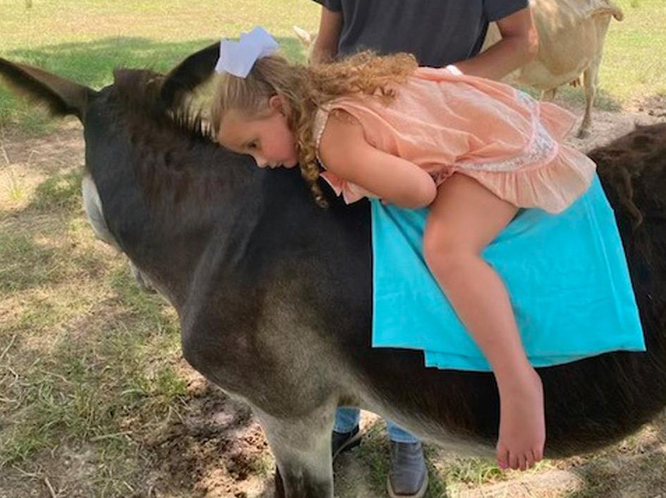 Dustin Emfinger watches as his daughter, Dezi, lies on the back of J Bear, a donkey owned by fellow Kelly Baptist Church member Evelyn Pardue. (Submitted photo)