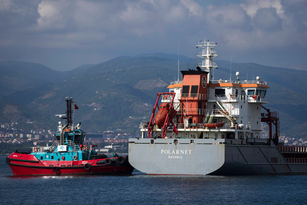 The cargo ship Polarnet arrives at Derince port in the Gulf of Izmit, Turkey, Monday, Aug. 8, 2022. (AP Photo/Khalil Hamra)