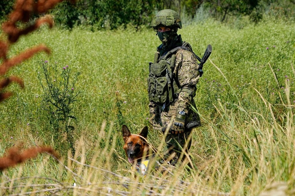 A Russian mine-clearing expert with a dog works to find and defuse mines along the high voltage line in Mariupol, on the territory which is under the Government of the Donetsk People's Republic control, eastern Ukraine, July 13, 2022. (AP Photo, File)