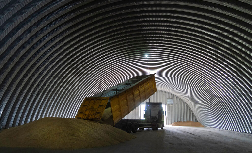 A dump track unloads grain in a granary in the village of Zghurivka, Ukraine, Tuesday, Aug. 9, 2022. (AP Photo/Efrem Lukatsky)