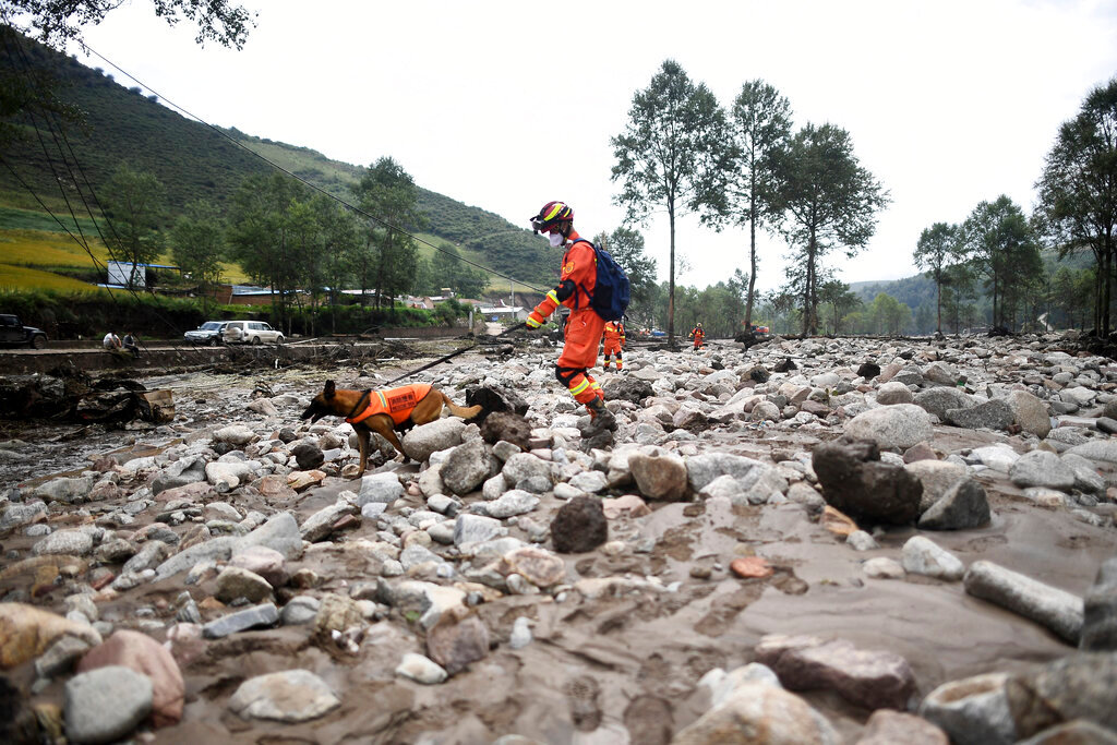 A rescue worker and dog search through the aftermath of floods in Shadai Village, Qingshan Township of Datong Hui and Tu Autonomous County in northwest China's Qinghai Province on Thursday, Aug. 18, 2022. (Zhang Hongxiang/Xinhua via AP)