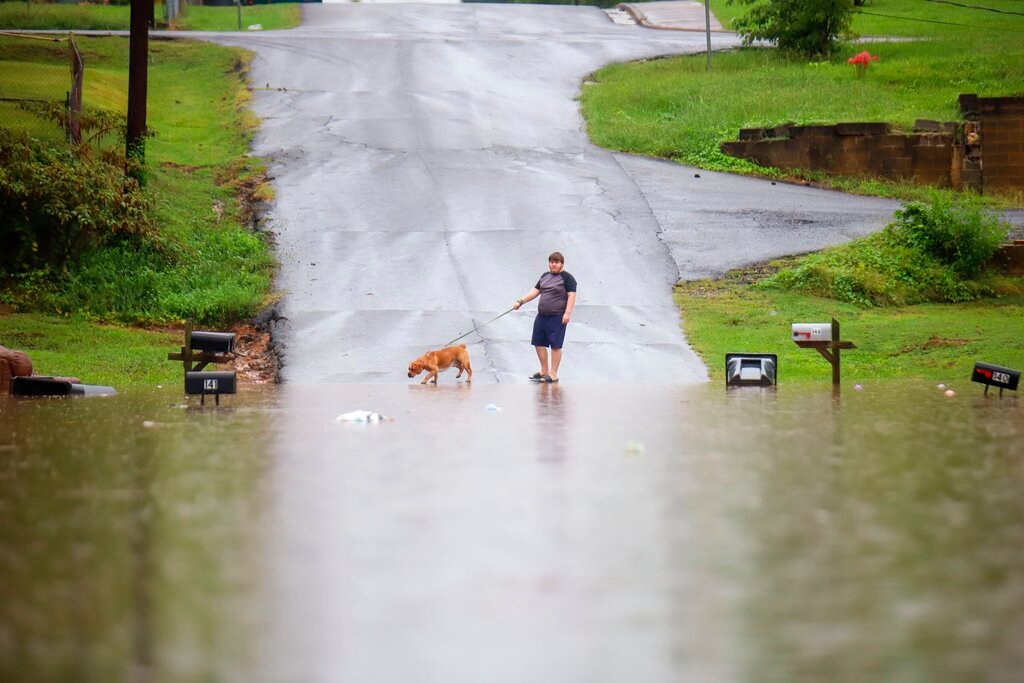 A young man walks his dog along a flooded Bittings Avenue on Sunday, Sept, 4, 2022, in Summerville, Ga. (Olivia Ross/Chattanooga Times Free Press via AP)