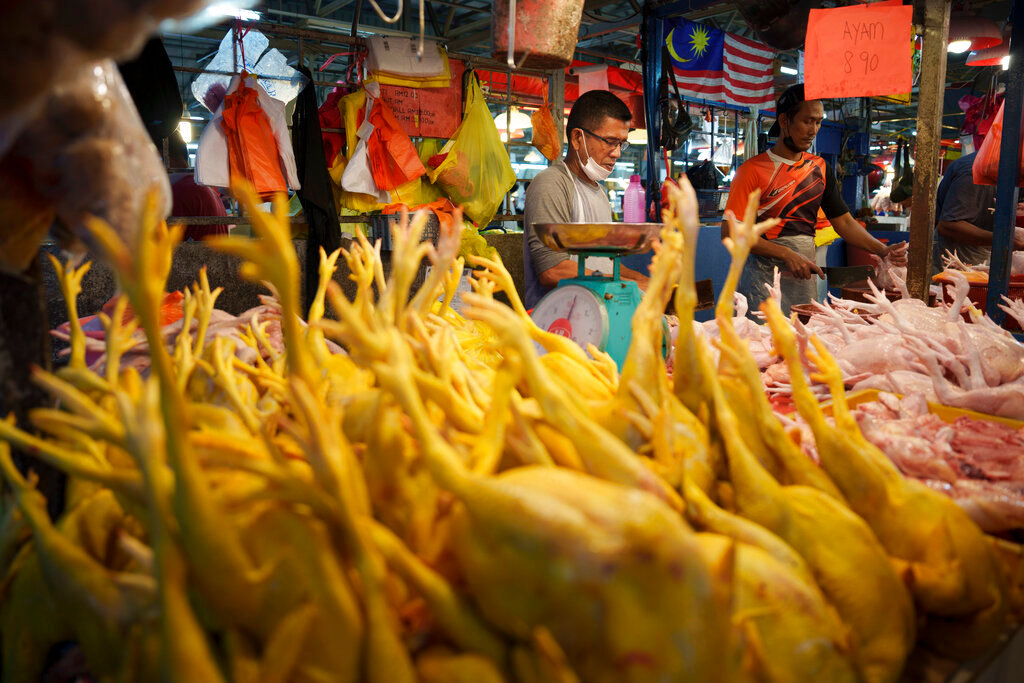 A vendor prepares freshly butchered chickens at the Kampung Baru wet market in Kuala Lumpur, Malaysia, Tuesday, May 31, 2022. (AP Photo/Vincent Thian, File)