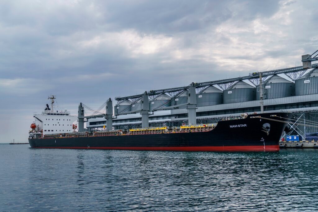 The ship Navi-Star sits full of grain in Odesa, Ukraine, July 29, 2022. (AP Photo/David Goldman, File)