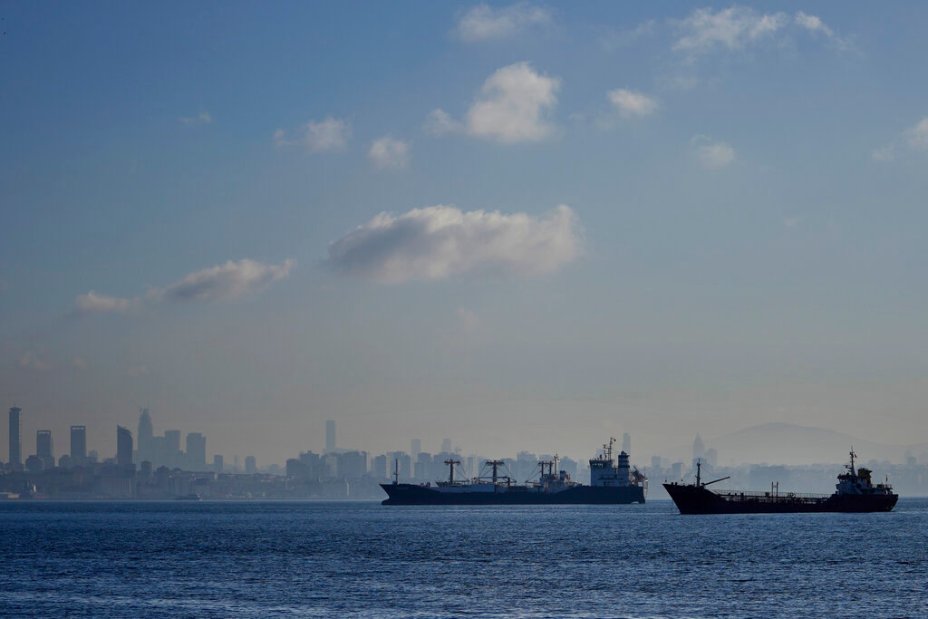 Cargo ships anchored in the Marmara Sea await to cross the Bosphorus Straits in Istanbul, Turkey, Tuesday, Nov. 1, 2022. (AP Photo/Khalil Hamra)