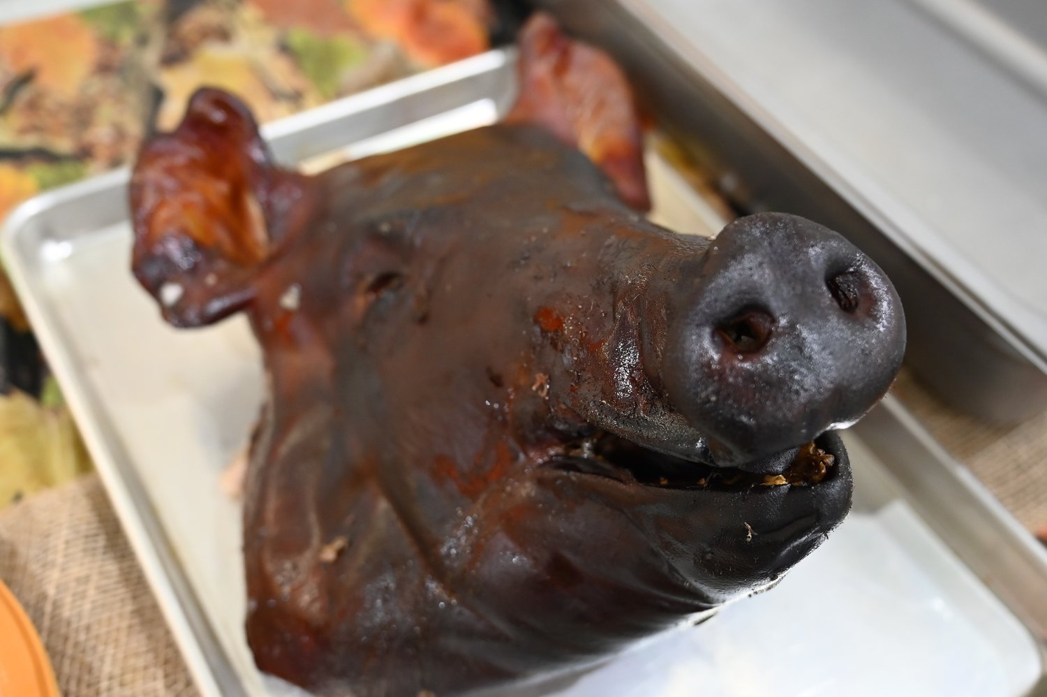 A pig's head was part of the decor at a wild game dinner in Omega, Ga., on Friday, February 3, 2023. (Index/Roger Alford)