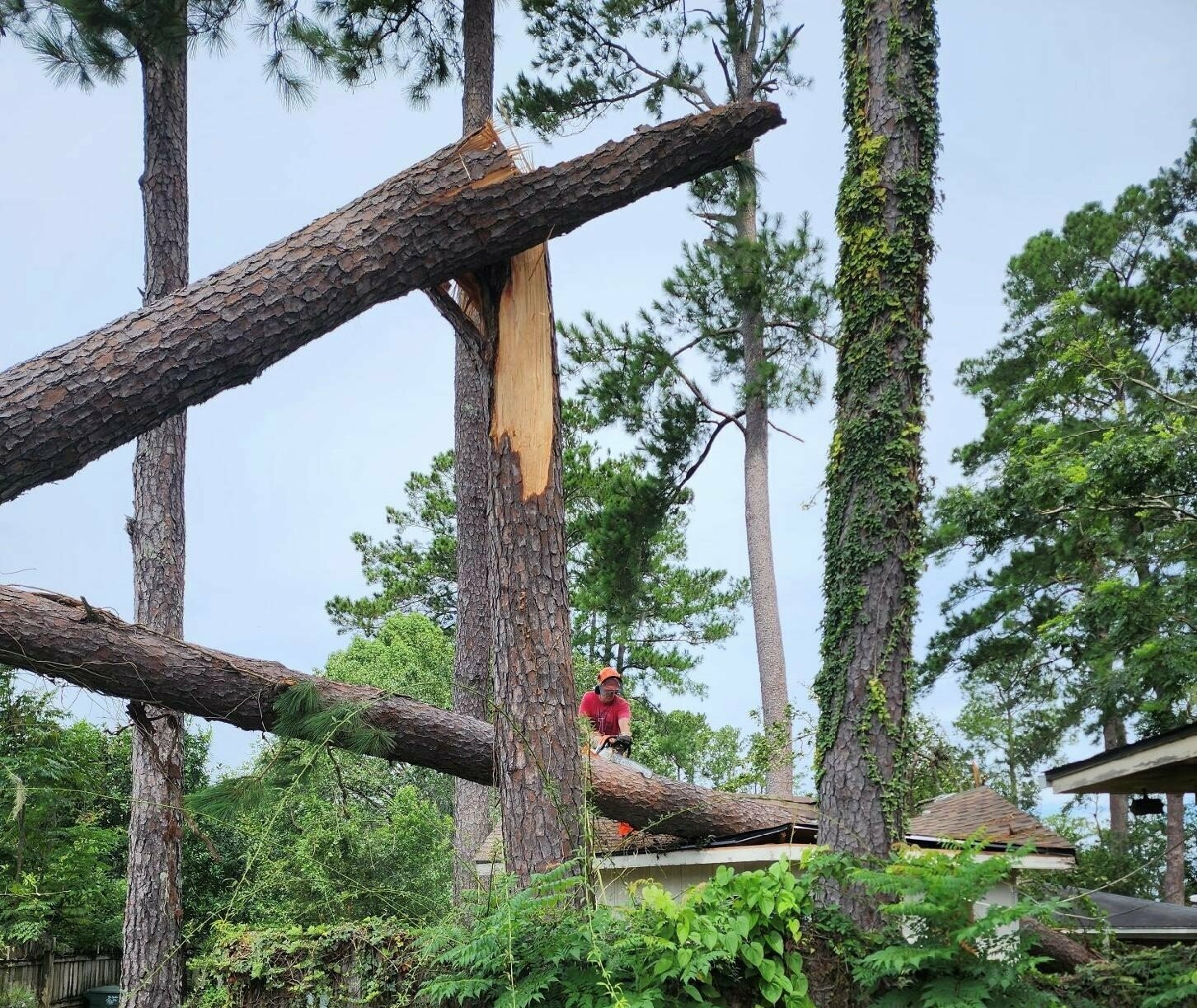 Georgia Baptist Disaster Relief volunteer Scott Smith saws a tree from a home in Valdosta, Ga., in the wake of Hurricane Idalia. The size of the toppled trees complicated the cleanup process.