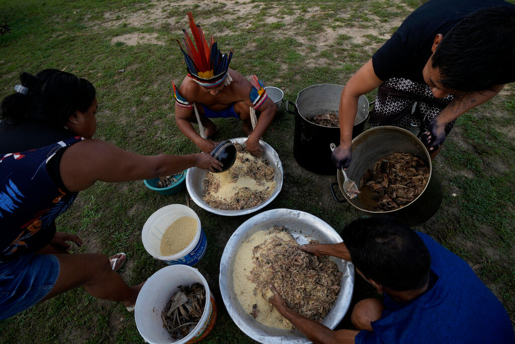 Indigenous Tembe prepare food for their community in the Tenetehar Wa Tembe village in the Alto Rio Guama Indigenous territory in the Paragominas municipality of the Para state of Brazil, Sunday, June 11, 2023. (AP Photo/Eraldo Peres)