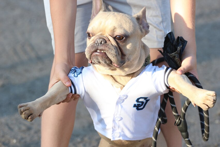 St. Johns Country Day School mascot, Doug, is ready to bark up a storm for his Spartans as they trek to Fort Myers for Class 1A Final Four.