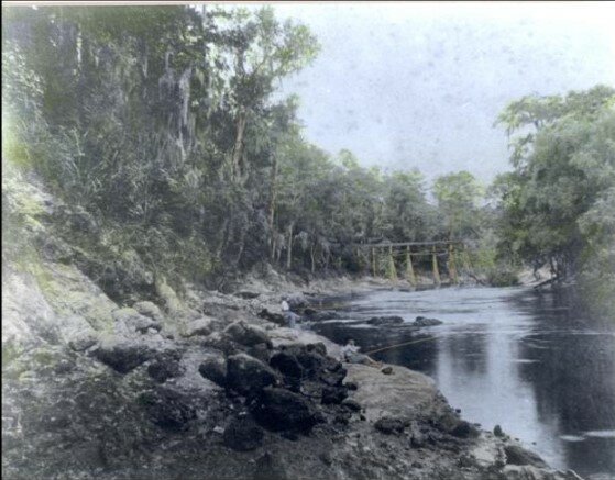 Phosphate rock jutting out of a riverbank somewhere in Northeast Florida. River phosphates appear darker in color, almost black, compared with the tan-colored land deposits in this colorized photo.