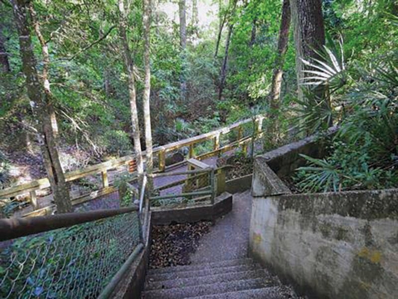 These 72 steps lead down to the ravine, where it's 10 degrees cooler than the surface temperature, at Mike Roess Gold Head Branch State Park.