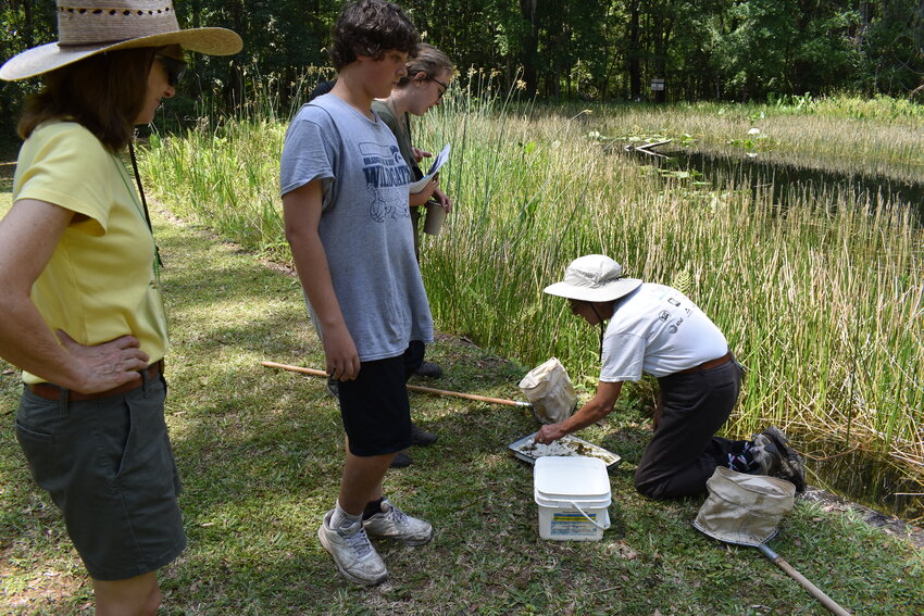 Naomi got an up-close education on bees during EcoFest at Camp Chowenwaw.