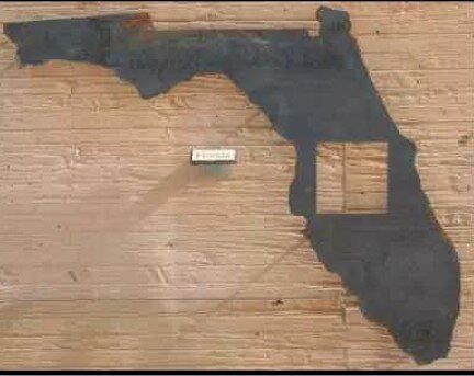 This small cutout of Florida shows how much land was homesteaded.