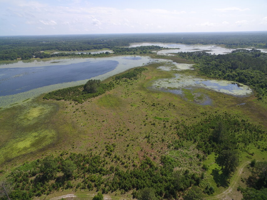 The Smith Lake Preserve, managed by the North Florida Land Trust (NFLT), has become part of the Florida National Scenic Trail. This 463-acre preserve, located in Clay County, is now home to a new 2-mile segment of the trail.
