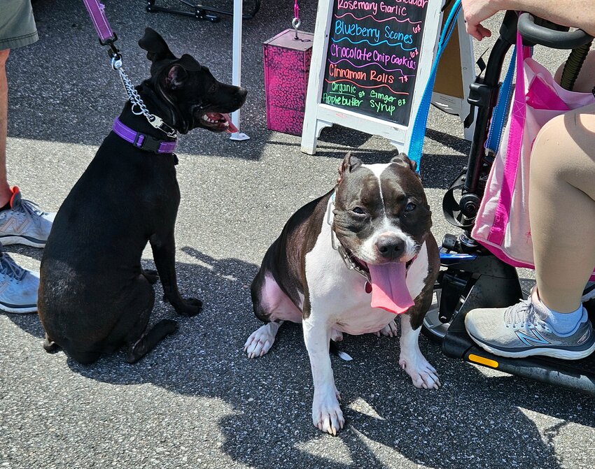 Tongue-tied two of a kind