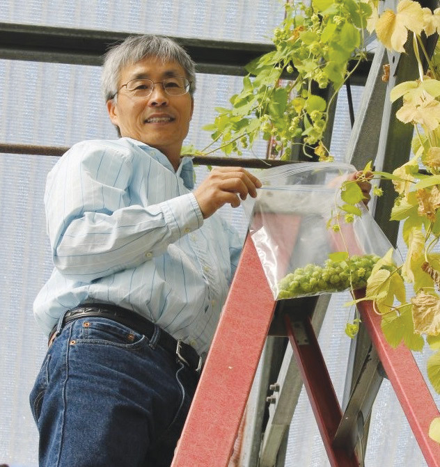 Photo courtesy UF/IFAS
UF/IFAS researcher Zhanao Deng is researching the viability of Florida hops at the Gulf Coast Research and Education Center in Balm, Florida.
