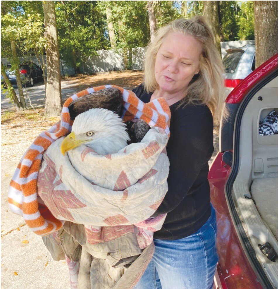 Clay Humane Assistant Director Claire Whitley Hall celebrated her 30th anniversary with the 
organization. She provides care for anything from puppies and kittens to wildlife like bald eagles.