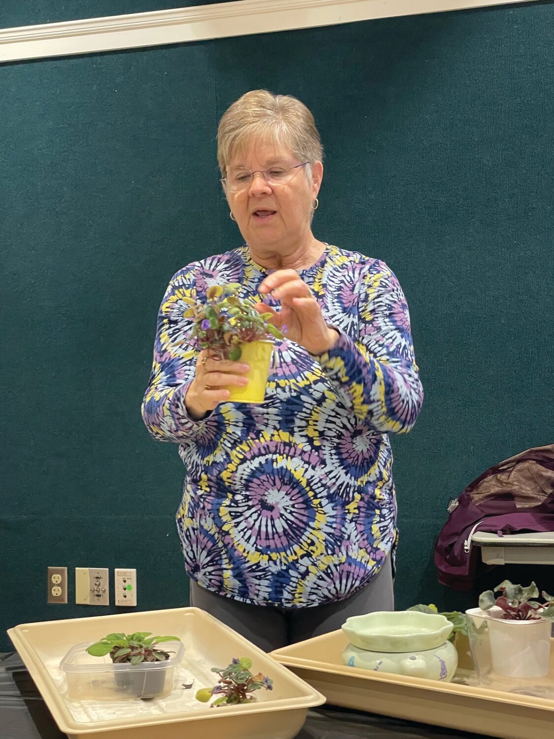 Heart of Jacksonville African Violet Society’s Carol Hixenbaugh shared insight on repotting and propagating plants.