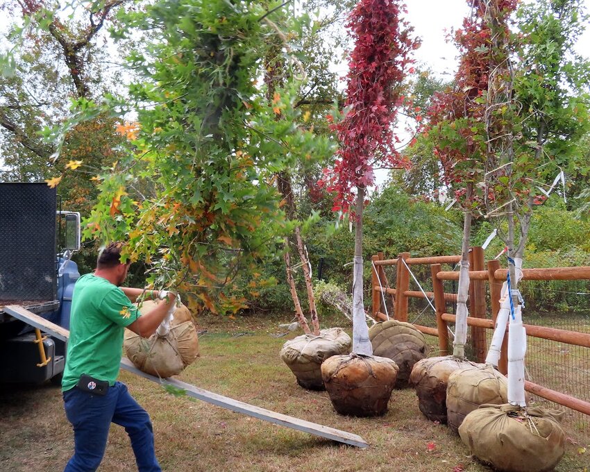 The Portsmouth Dog Park was awarded a grant by the Aquidneck Island Land Trust for dog-friendly and native plants for its expansion trail.