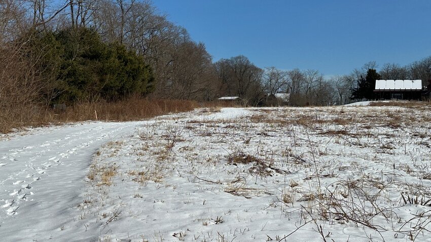 Lauren and Steve Lake followed these tracks in the snow, adjacent to a meadow at Audubon, into a grove of pines where they saw Mango briefly before he continued his 4-day adventure.