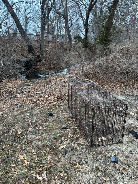 This trap was placed adjacent to bike path behind Radiant Light in Warren, based on data gathered by drone operator Sam Aromin of Hawkeye Aerial Systems.