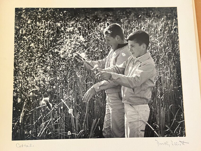 Two boys enjoy a moment in a field, in a shot described only as "Cattails" but ostensibly as part of the April 25, 1963 feature in The Post about the coming of spring.