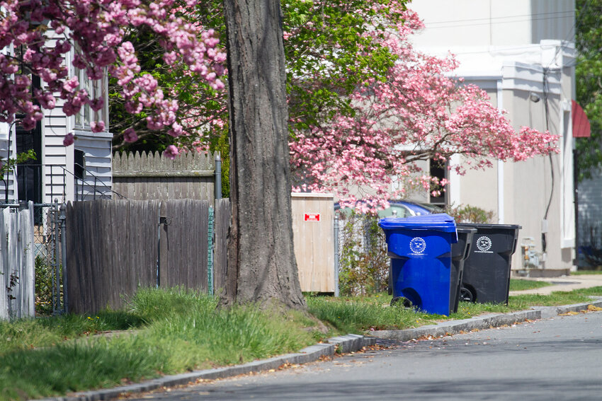 Bins sit out on the sidewalk under a blooming tree on Grosvenor Avenue on Tuesday afternoon.
