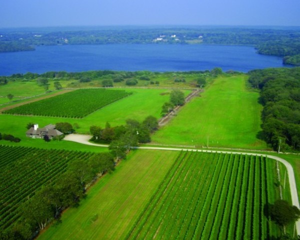 Do they sell alex discount and ani at sakonnet vineyards