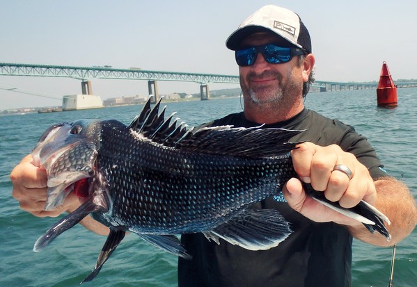 Black sea bass fishing will soon heat up   - News, Opinion,  Things to Do in the East Bay