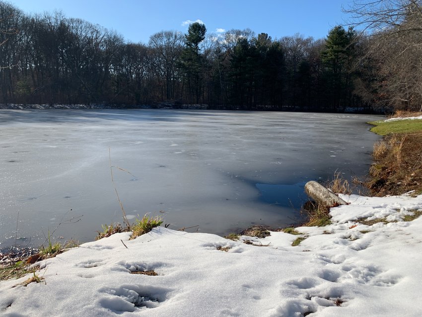 A Nov. 25 letter from Rhode Island Department of Environmental Management's Office of Compliance and Inspection states that Barrington failed to comply with two conditions of the Kent Street Pond phragmite removal permit.