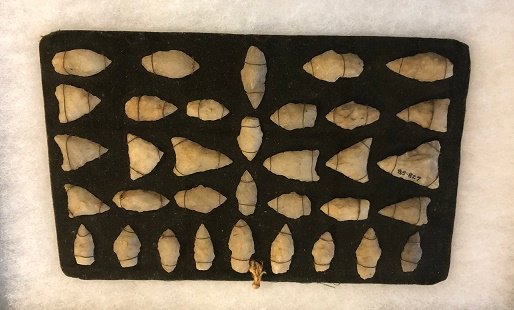 These stone projectile points were returned to the Haffenreffer Museum of Anthropology today, after vanishing from the museum in 1985.