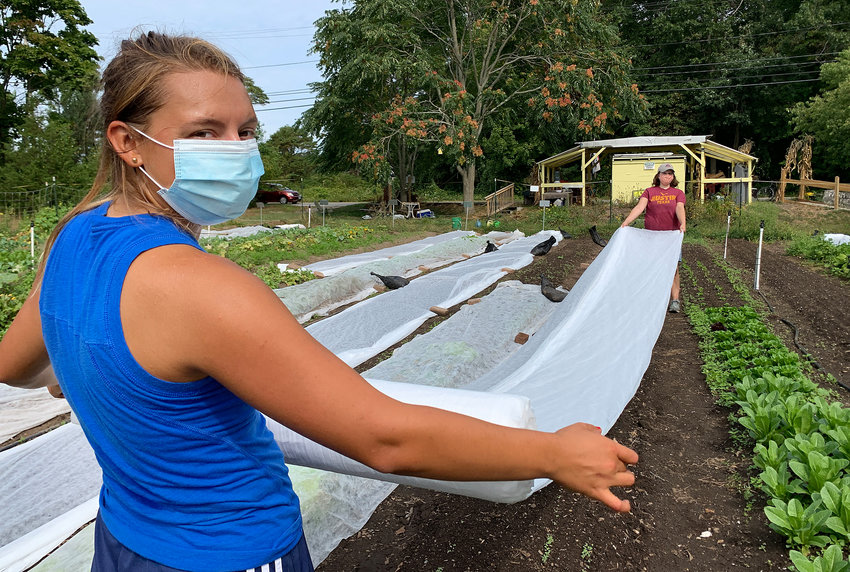 Student volunteers Laura Culligan (left) and Lily Redmond cover seedlings for the winter while working on the farm.