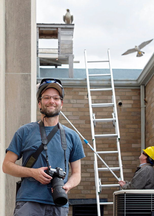 Peter Green at the top of 111 Westminster Street, on Peregrine Banding Day, 2014.